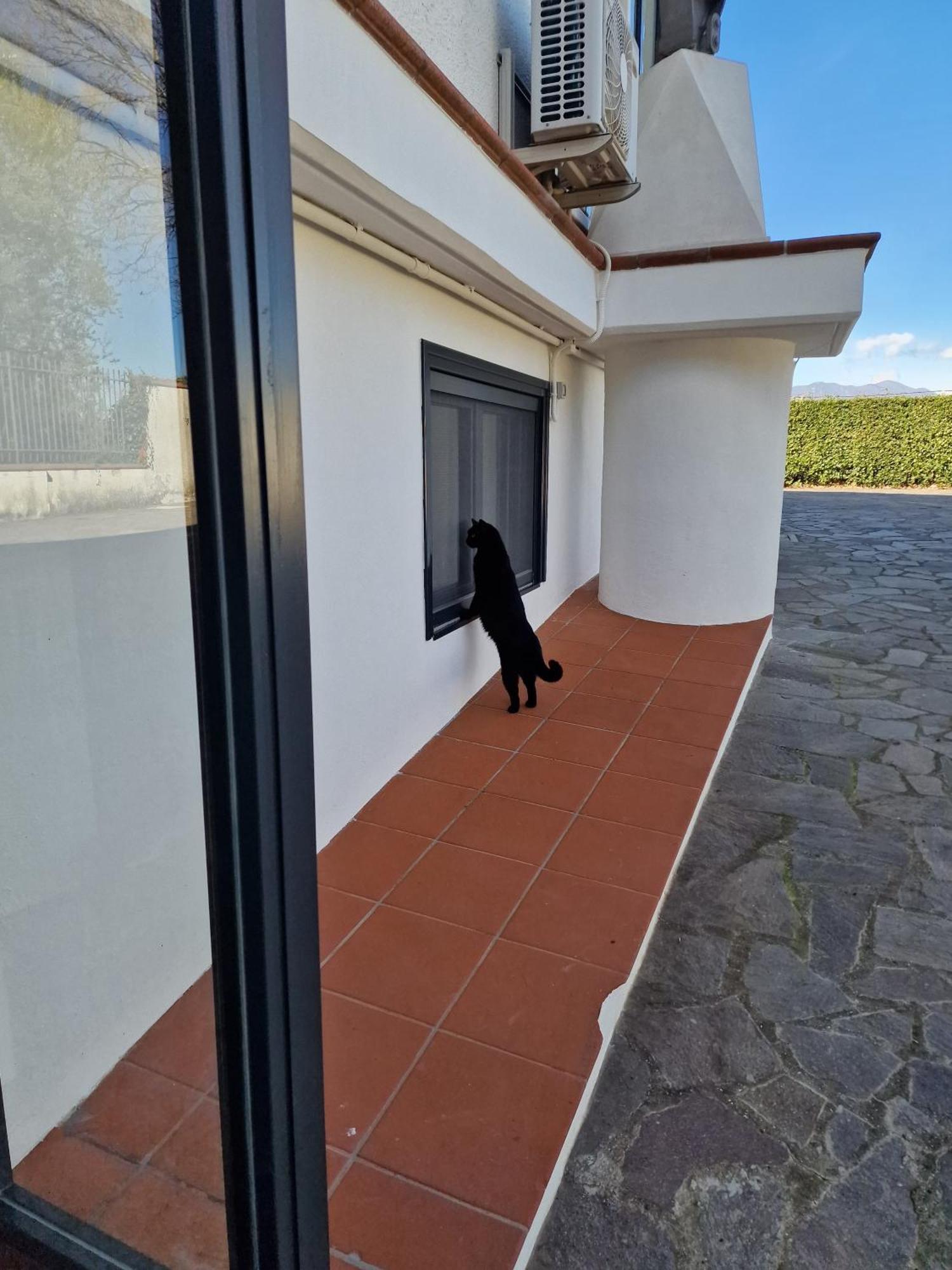 Villa Mandetta B&B Santo Stefano del Sole Екстериор снимка