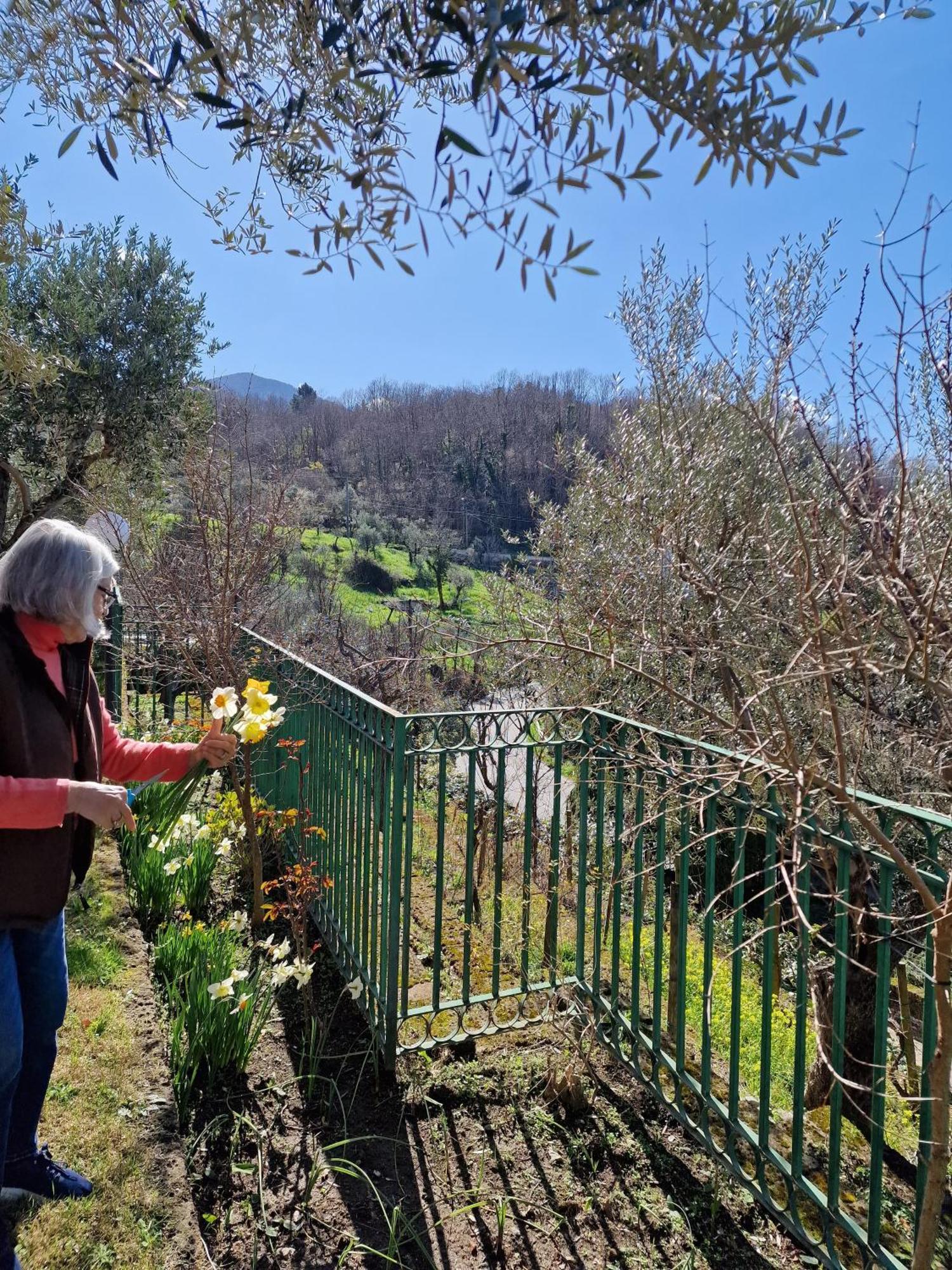 Villa Mandetta B&B Santo Stefano del Sole Екстериор снимка